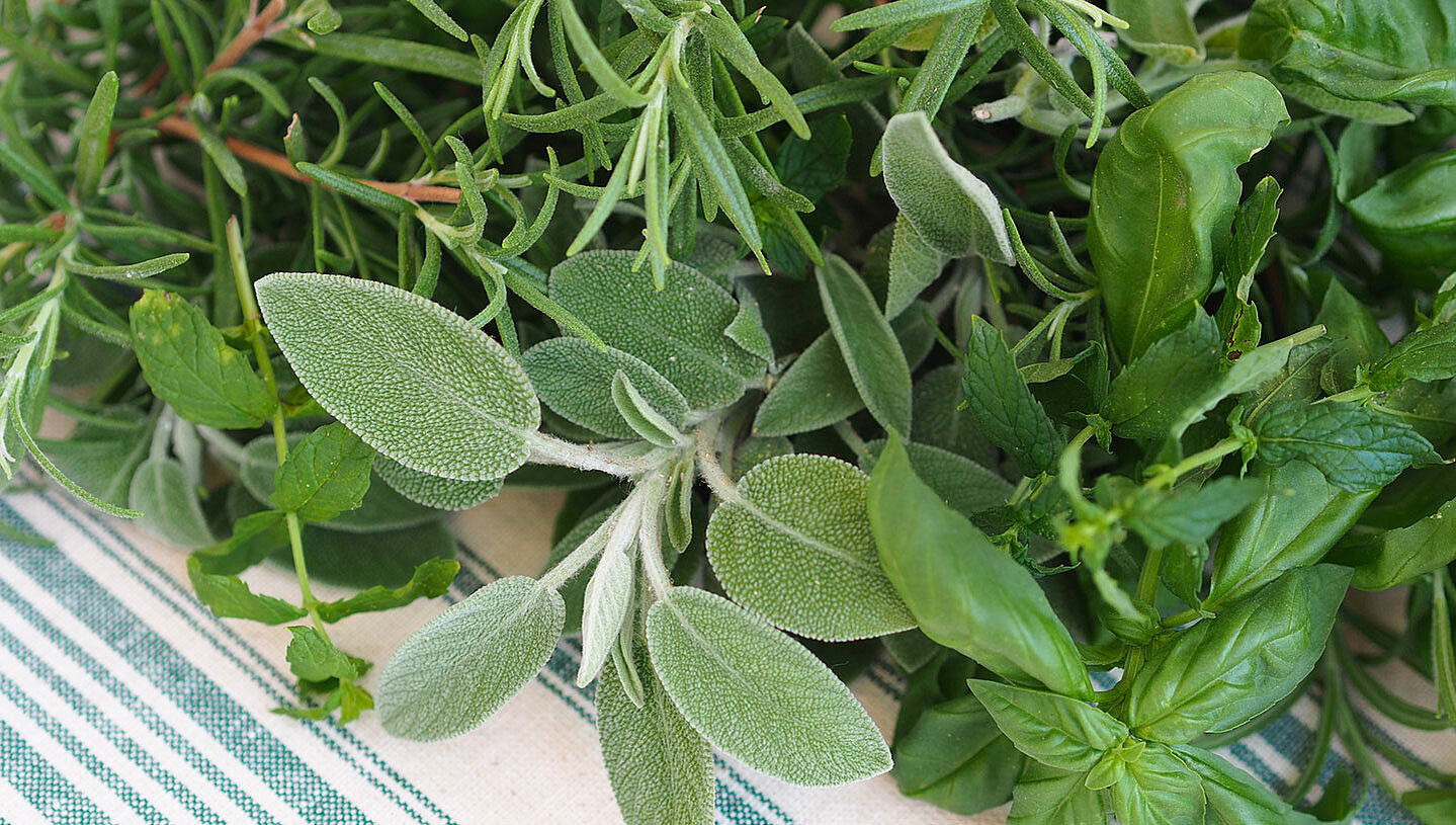 Italian herbs on a kitchen towel.
