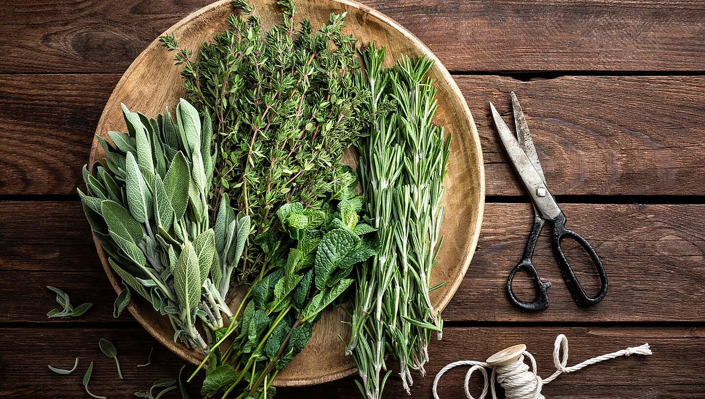5 indispensable herbs of Italian cuisine