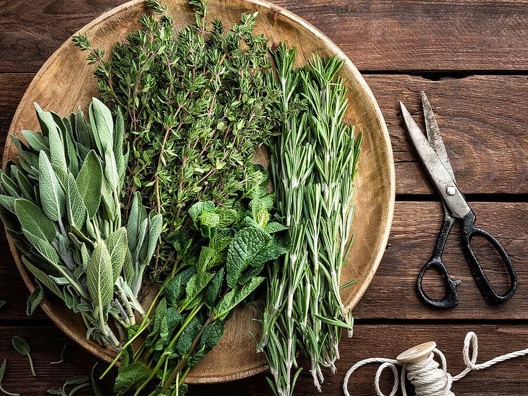 5 indispensable herbs of Italian cuisine