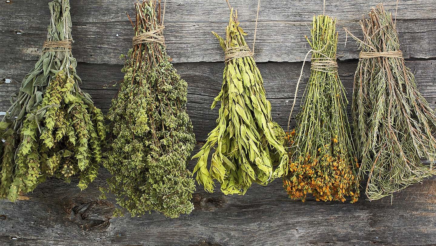 Drying Herbs Yourself