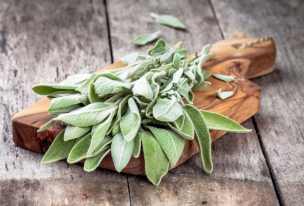 Sage on a wooden board.